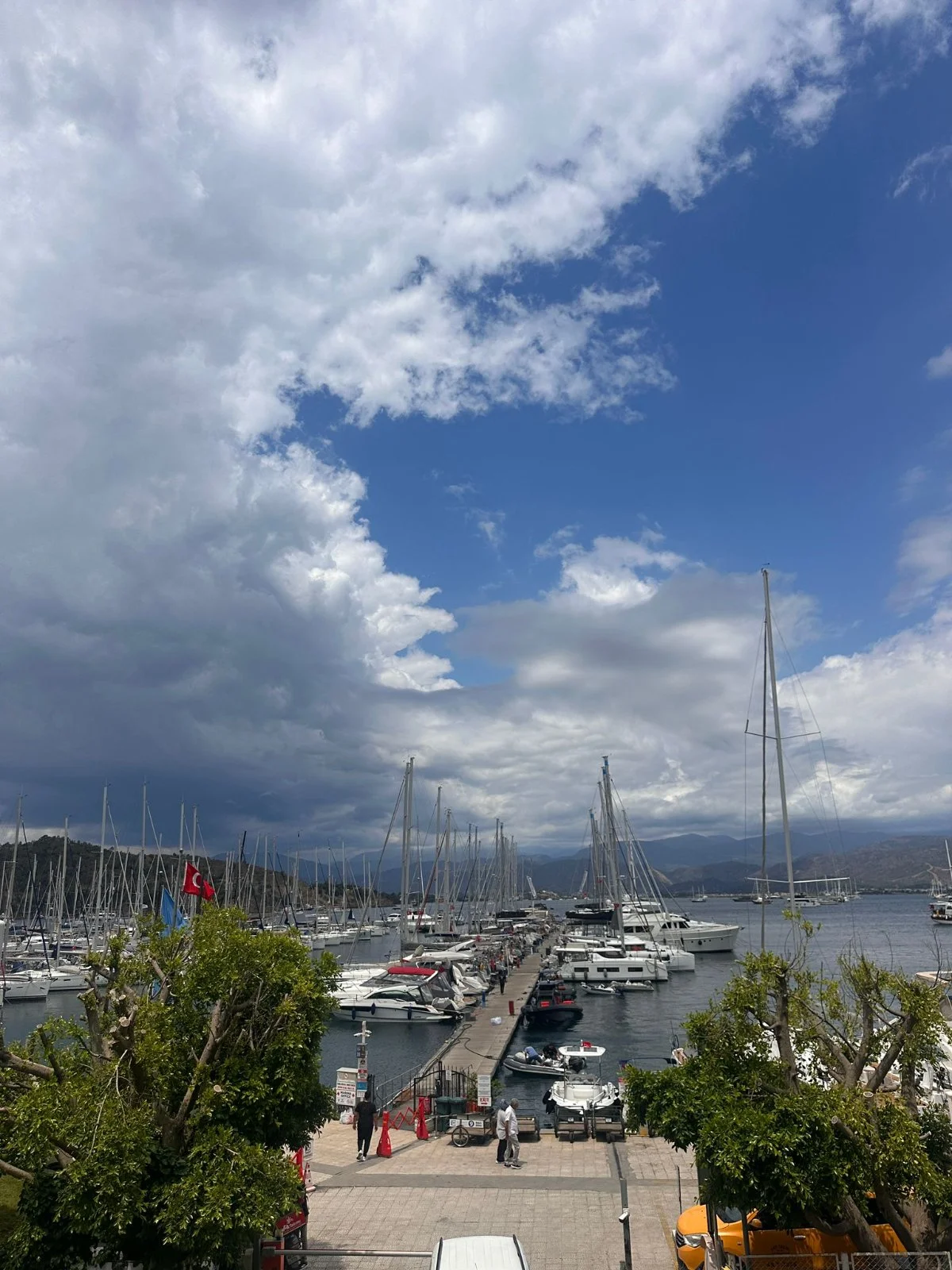 Asil Yachting Yat & Gemi Acenteliği