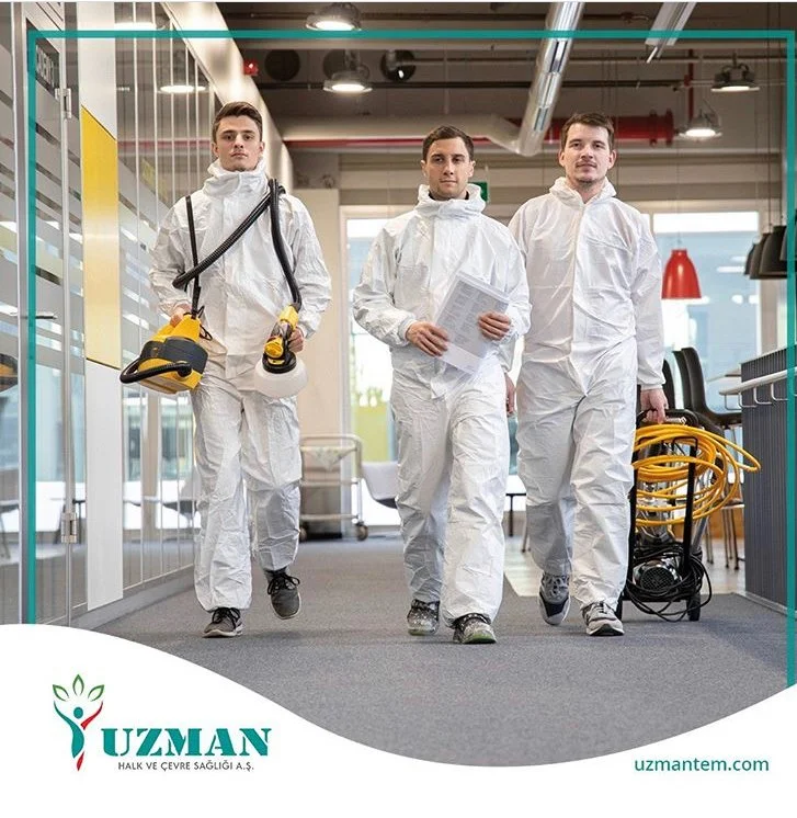 Pest Control Services | Disinfection for Yachts and Boats