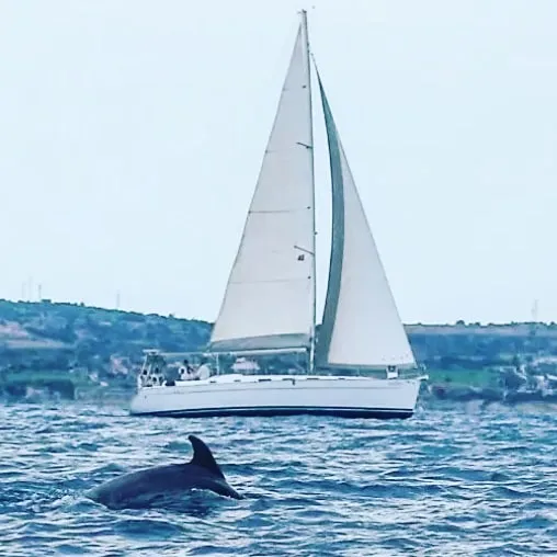 Sahibinden BENETEAU CYCLADES 43